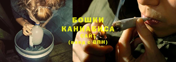 амф Верхний Тагил