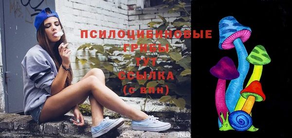 ешки Волосово