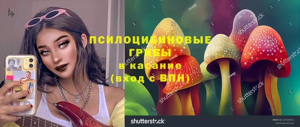 амф Верхний Тагил